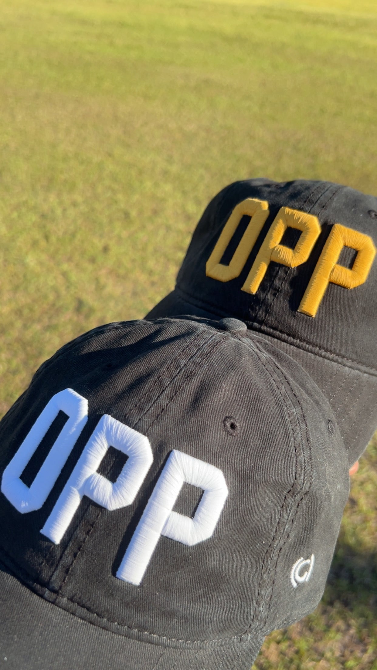 3D Ballcap