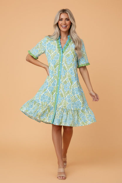 Fancy Nancy Dress
