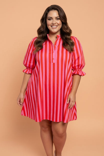 Frilled Collar Dress
