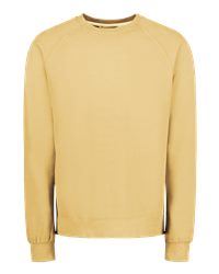 Vintage Fleece Raglan Crewneck