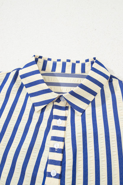 Stripe Buttoned Pocket Dress